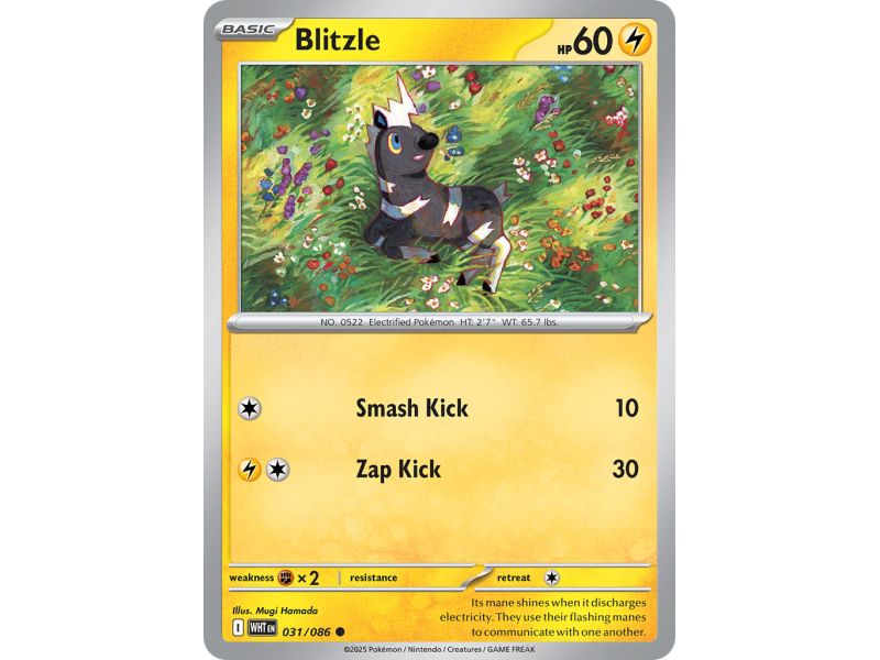 Blitzle (Common/Reverse Holofoil) – SV10.5 White Flare | Carta POKEMON en México