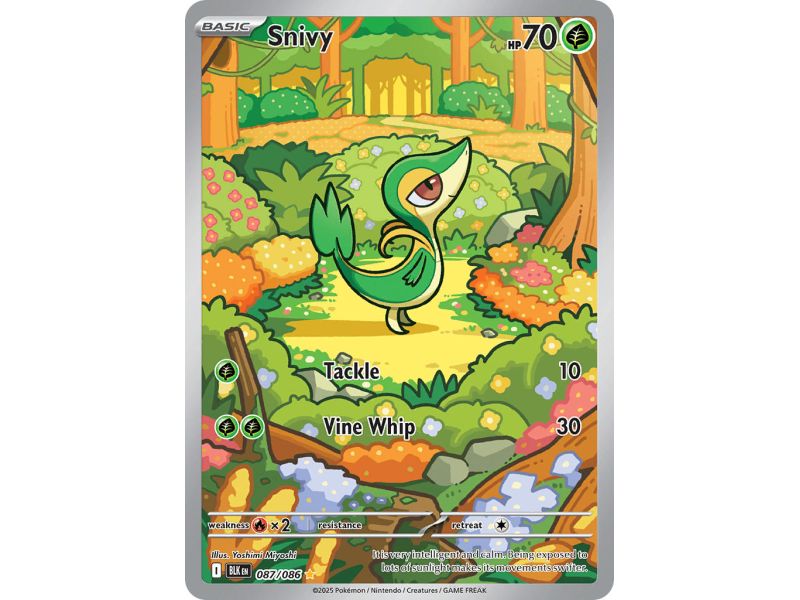 Snivy (Illustration Rare) – Black Bolt SV10.5 | Carta POKEMON en México
