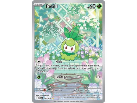 Petilil (Illustration Rare) – Black Bolt SV10.5 | Carta POKEMON en México