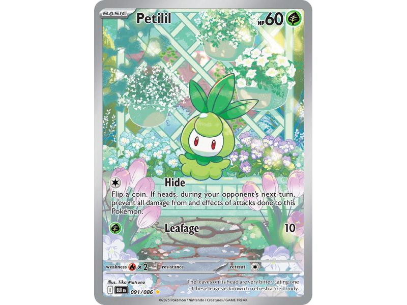 Petilil (Illustration Rare) – Black Bolt SV10.5 | Carta POKEMON en México