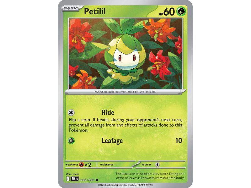 Petilil (Common/Reverse Holofoil) – Black Bolt SV10.5 | Carta POKEMON en México