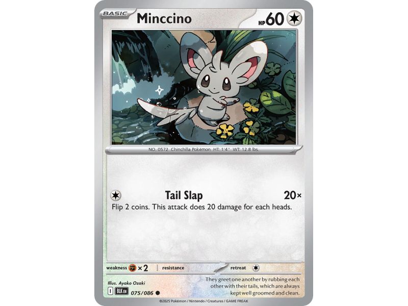 Minccino (Common/Reverse Holofoil) – Black Bolt SV10.5 | Carta POKEMON en México