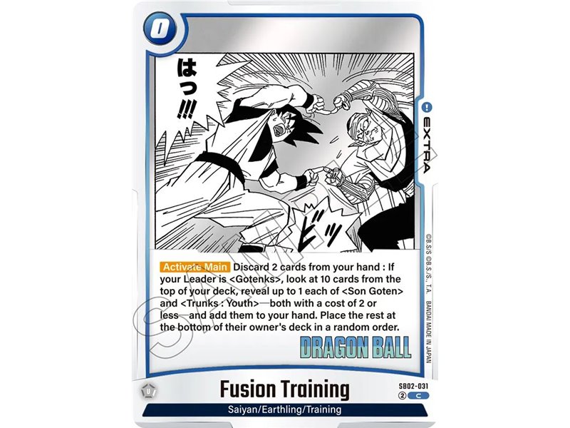 Fusion Training (Common)
