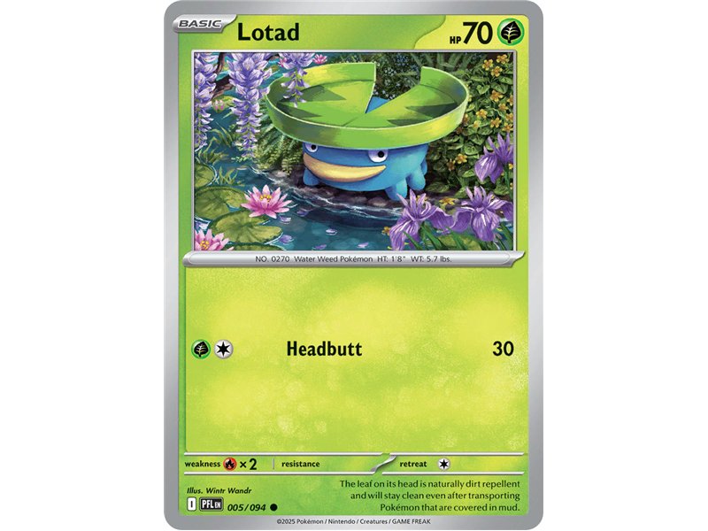 Lotad (Common/Reverse Holofoil)