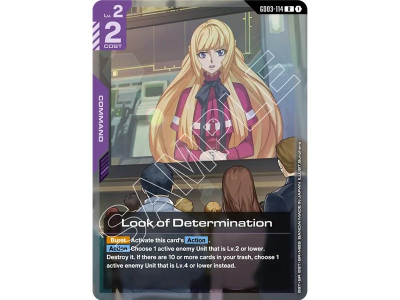 Look of Determination (Rare)