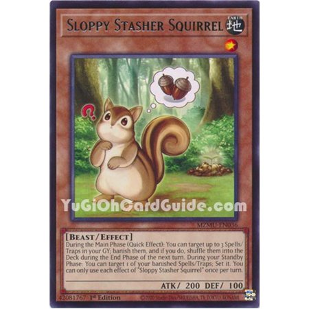 Sloppy Stasher Squirrel (Rare)