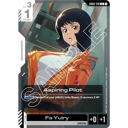 Aspiring Pilot  (Common)