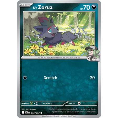 N's Zorua (Common)