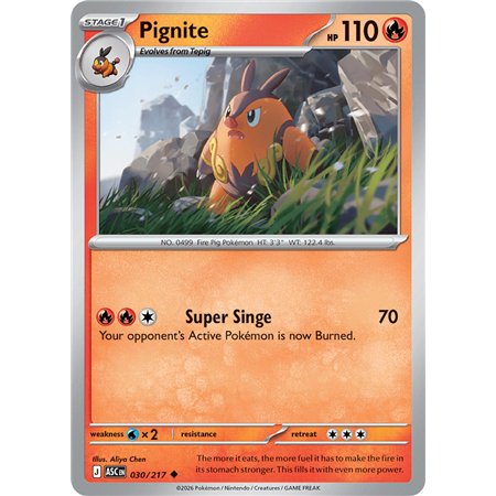 Pignite (Uncommon/Reverse Holofoil)