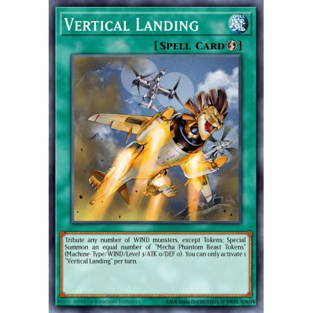 Vertical Landing (Common)