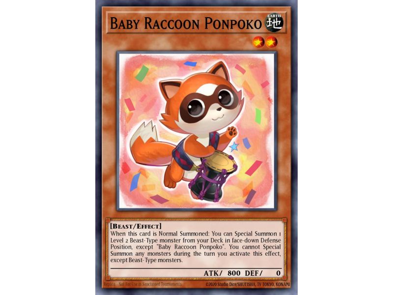 Baby Raccoon Ponpoko (Common)