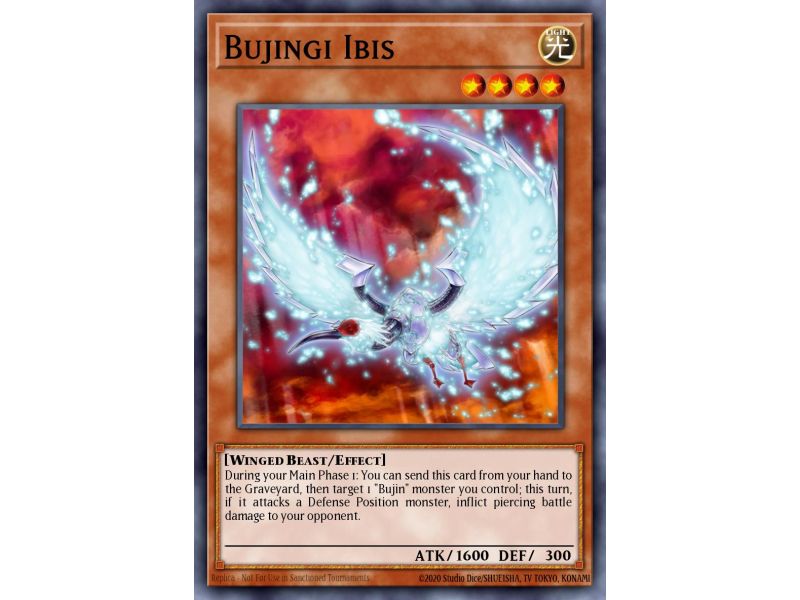 Bujingi Ibis (Common)