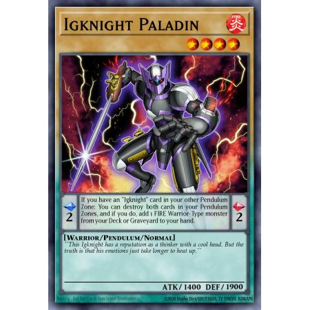 Igknight Paladin (Common)