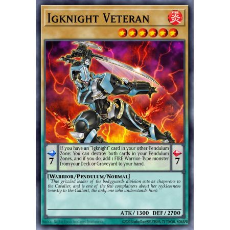 Igknight Veteran (Common)