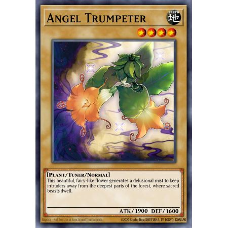 Angel Trumpeter (Common)