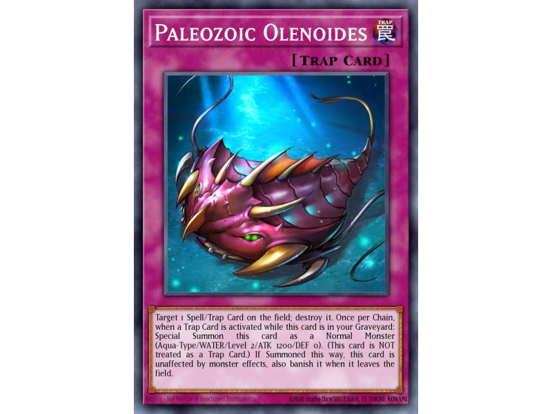 Paleozoic Olenoides (Common)