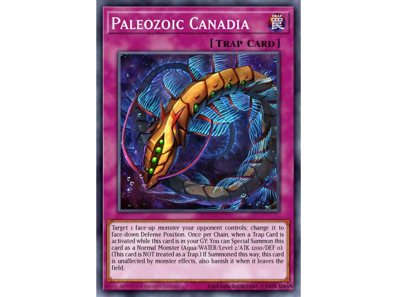 Paleozoic Canadia (Common)