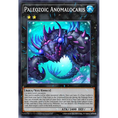 Paleozoic Anomalocaris (Super Rare)