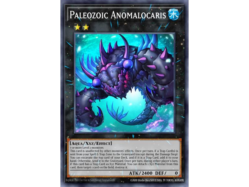 Paleozoic Anomalocaris (Super Rare)