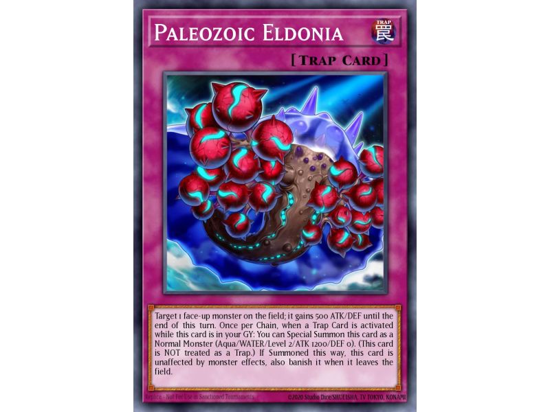 Paleozoic Eldonia (Common)