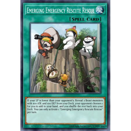 Emerging Emergency Rescute Rescue (Common)