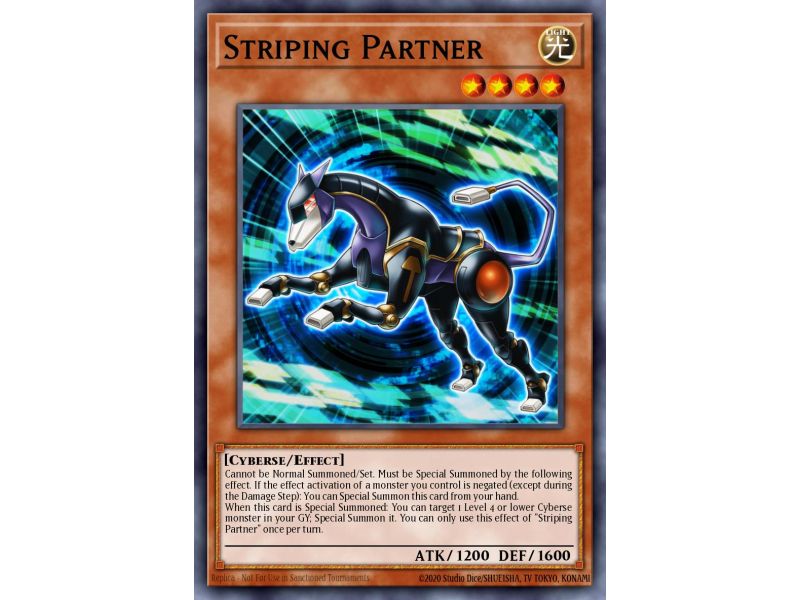 Striping Partner (Common)