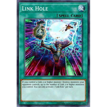 Link Hole (Common)