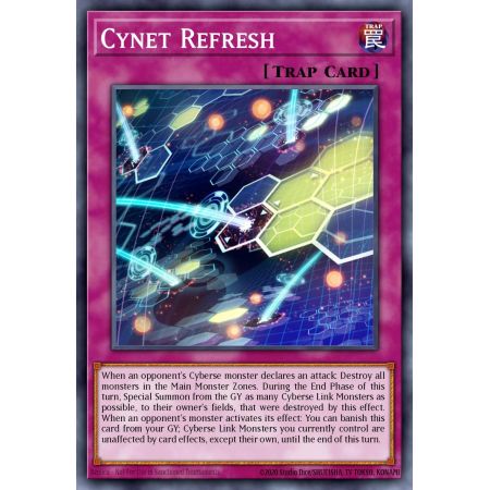 Cynet Refresh (Common)