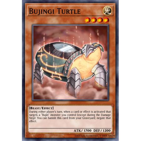 Bujingi Turtle (Super Rare)