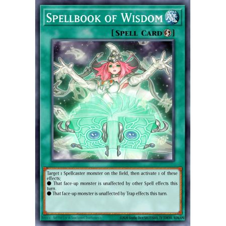 Spellbook of Wisdom (Super Rare)