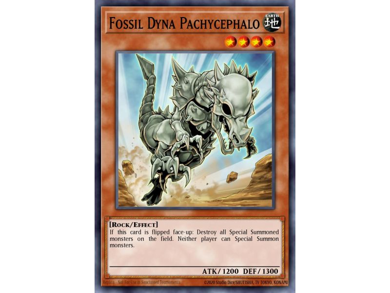 Fossil Dyna Pachycephalo (Common)