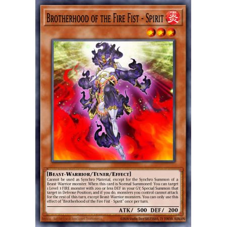 Brotherhood of the Fire Fist - Spirit (Common)