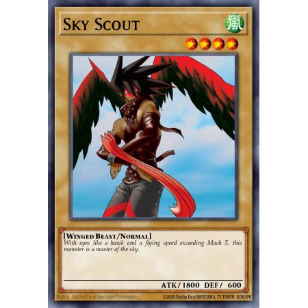 Sky Scout (Short Print)