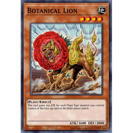 Botanical Lion (Common)