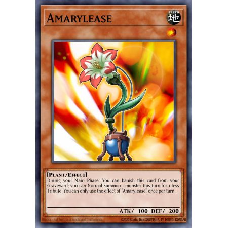 Amarylease (Common)