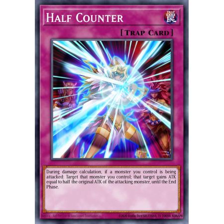 Half Counter (Common)