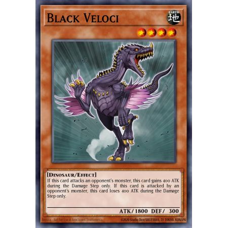 Black Veloci (Rare)