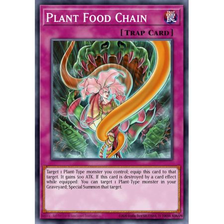 Plant Food Chain (Common)