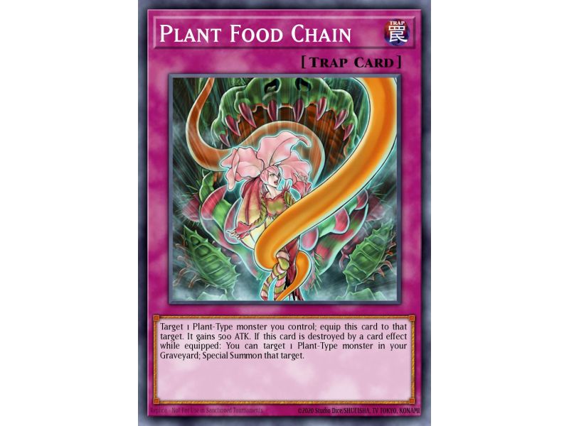 Plant Food Chain (Common)