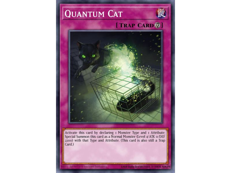 Quantum Cat (Common)