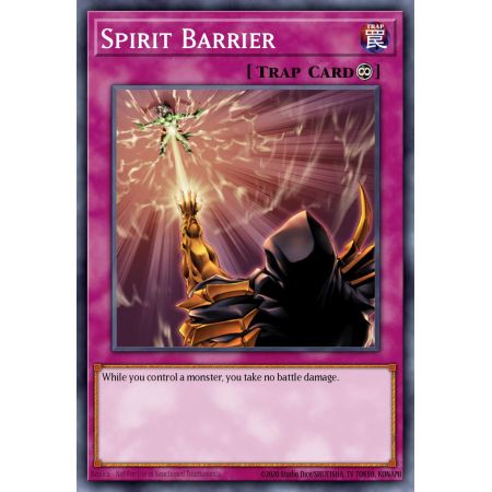 Spirit Barrier (Common)