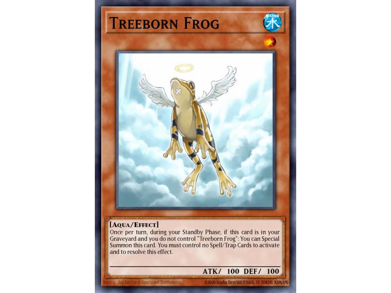 Treeborn Frog (Common)