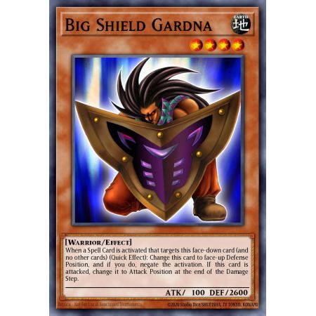 Big Shield Gardna (Rare)