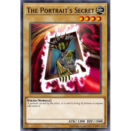 The Portrait's Secret (Common)