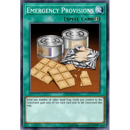 Emergency Provisions (Rare)