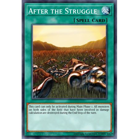 After the Struggle (Common)