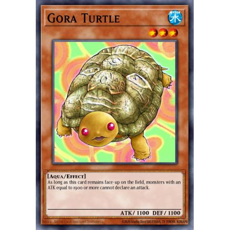 Gora Turtle (Common)