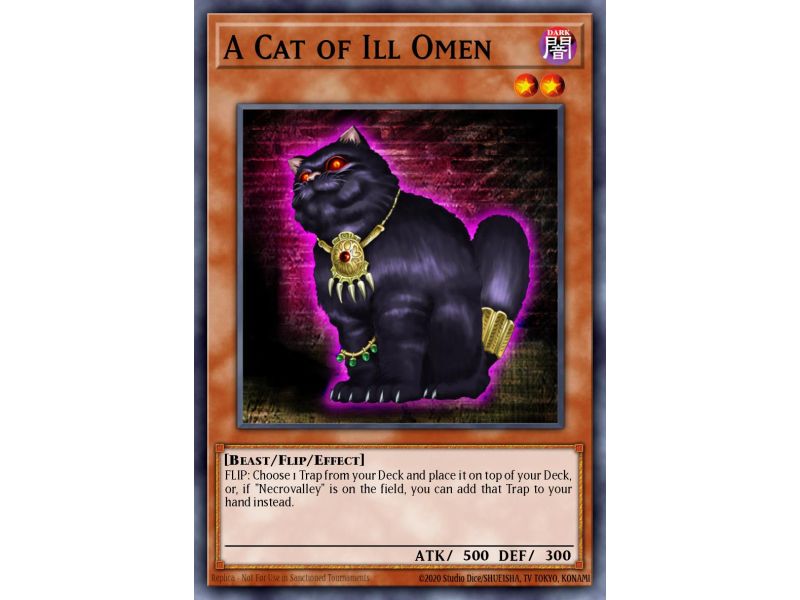 A Cat of Ill Omen (Common)
