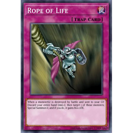 Rope of Life (Rare)