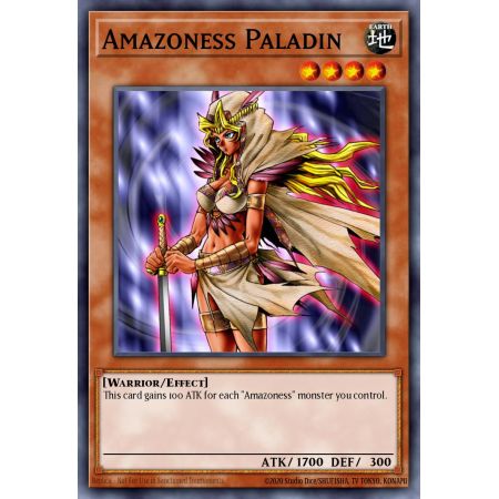 Amazoness Paladin (Common)